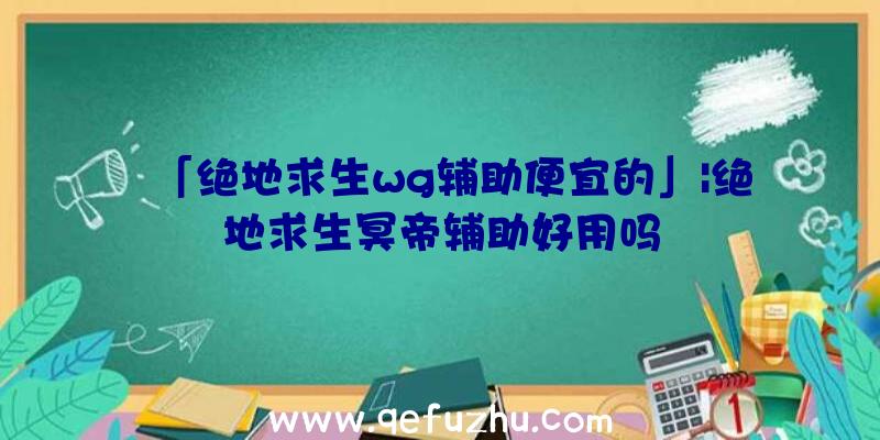 「绝地求生wg辅助便宜的」|绝地求生冥帝辅助好用吗